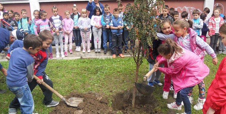 ЈКП “Градско зеленило” донирало стабла основној школи