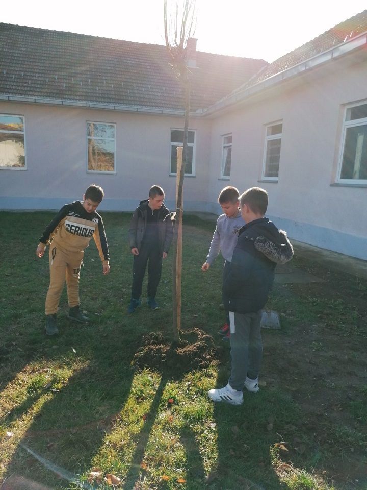 Наша шума,наша брига -наставак садње у ОШ,,22 Децембар” у Доњој Трепчи