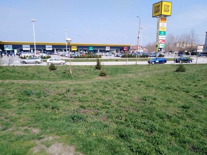 ,,Наша шума, наша брига 2″ садња у Авенији , преко пута ДИС-а