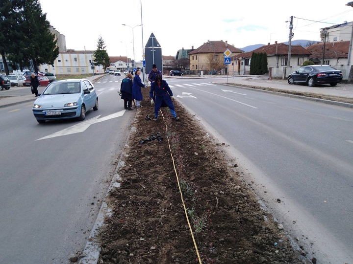 Радови на уређењу зелених острва у улици 10